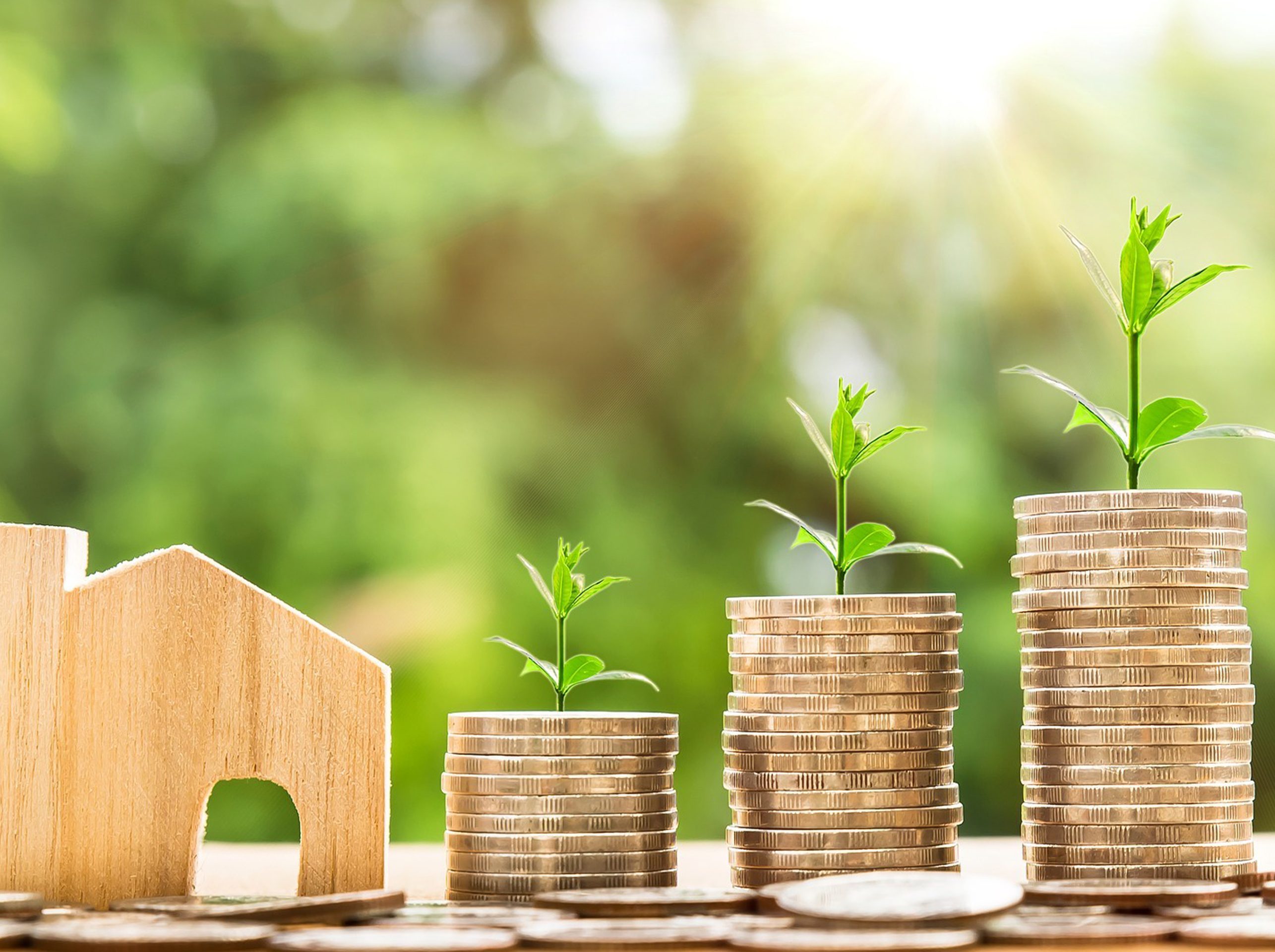 Insurance Industry Trends and News | OLIVER